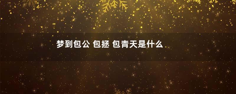 梦到包公 包拯 包青天是什么意思